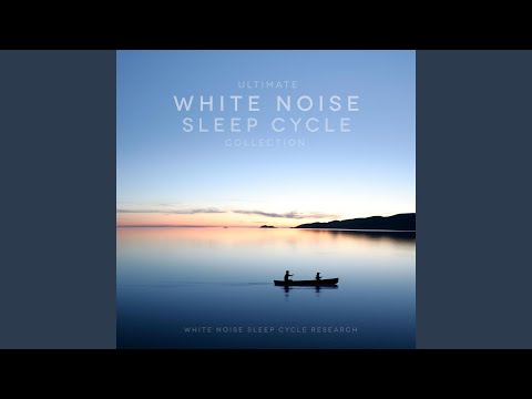 The Sounds of Central Park New York