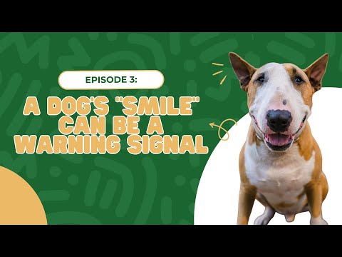 Podcast #3: Why a dog’s “smile” can be a warning signal | Nordic Dog Trainer