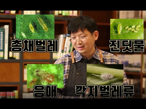 , title : '진딧물 응애 깍지벌레류 총채벌레 박멸 팁 알려드립니다'