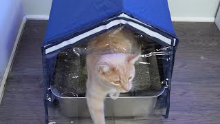CTTZCKJ Litter Box Cover Stop Odors Create Privacy ASSEMBLY REVIEW