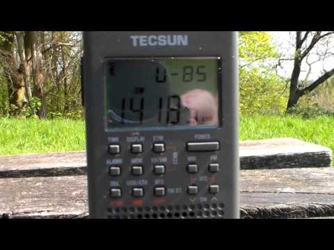 de Tecsun PL-365 in het veld