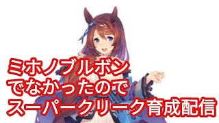 ウマ娘！ミホノブルボンよりもスーパクリークでしょ、時代は