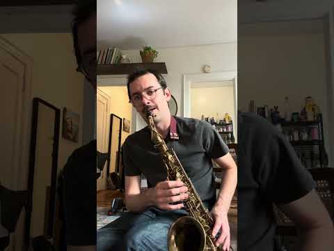 Selmer Balanced Action Alto Saxophone 1935 FRESH OVERHAUL image 13