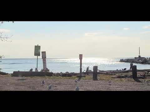 Phở Marine 🐟 🎣. Nhớ: Lớp 12C(1977-1978) Régina Mundi, Couvent des Oiseaux 🐦. Trường Lê T Hồng Gấm.