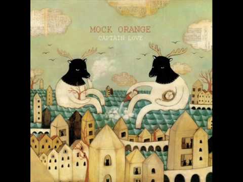 Mock Orange- 