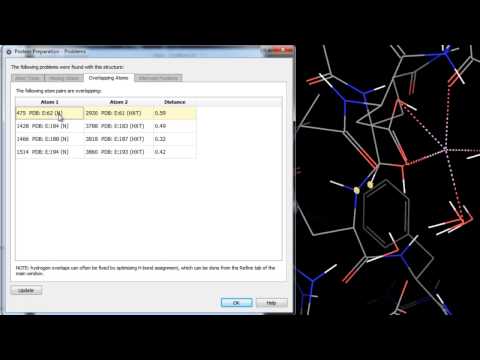 Protein Preparation - Quick Example 1TMN
