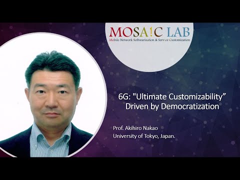 6G: "Ultimate Customizability” driven by Democratization