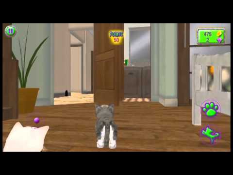 Cat Frenzy 3D Video