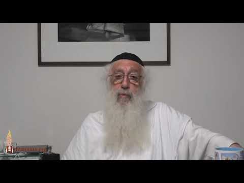 5 Minutes... La Tortue et le Pigeon