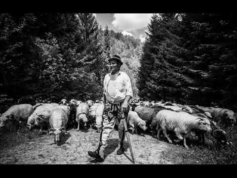 Idom casý za casami (III)