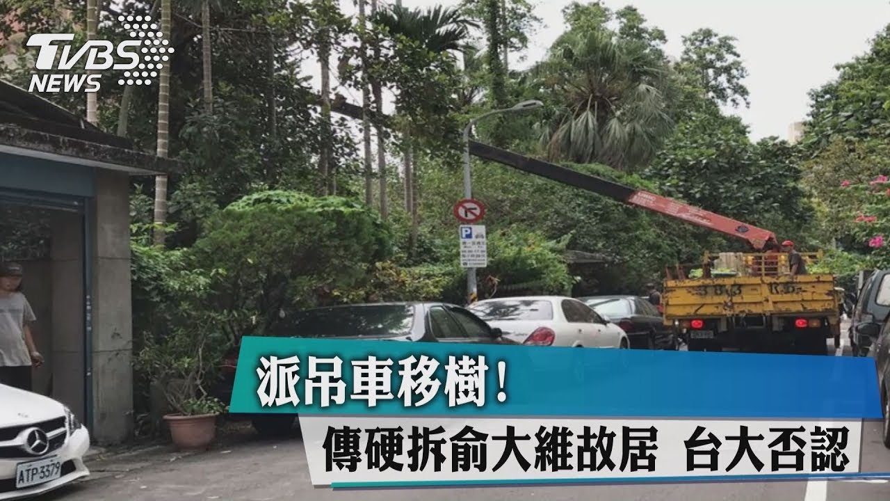 派吊車移樹!傳硬拆俞大維故居 台大否認