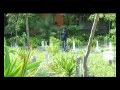 Sazaa FINAL VIDEO
