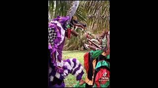 Download lagu story wa barongan mp3