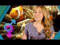 Animal Sex Changes BBC Earth Explore
