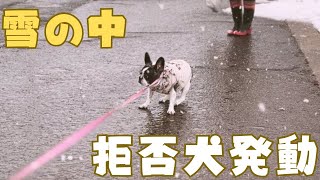 雪遊びに行ったら色々大変でした😂