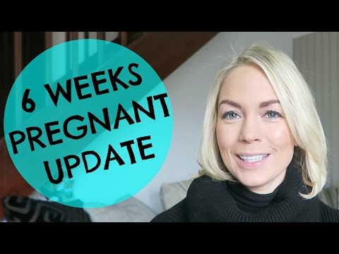 6 WEEKS PREGNANT UPDATE  |  EMILY NORRIS