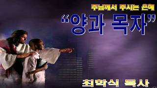 양과 목자 / 요10:11-15
