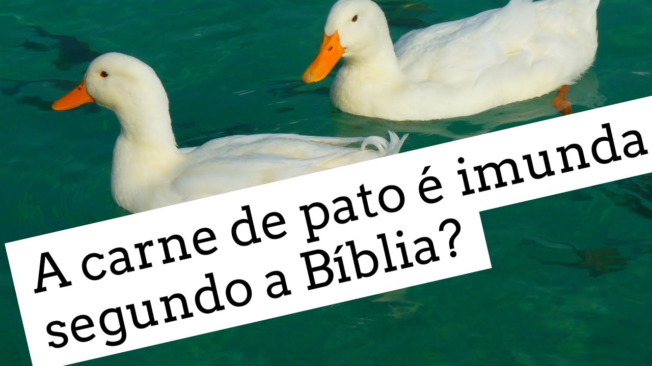A Bíblia considera a carne de pato imunda? - Leandro Quadros - Levítico 11 Deuteronômio 14 - Kasher