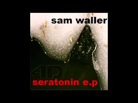 Sam Waller - Fibonacci Seqeunce (Seratonin EP)