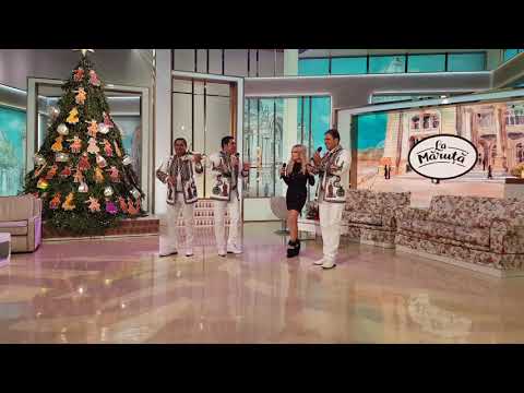 Daniela Gyorfi si Triton la Pro Tv