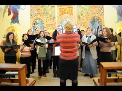 Corul Angeli la Faget 1