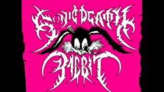 sonic death rabbit - nalgas brutas (happy dutchcore remix)