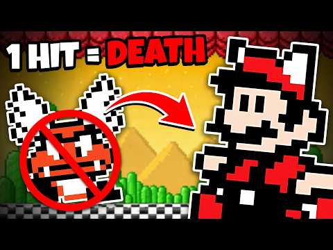 Can I Beat Mario 3 Without Getting Hit?