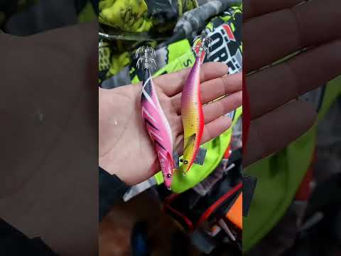 ❌✖️ WINTER CON SOBEK