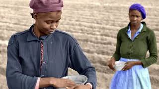 Child of God - Crowder