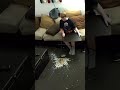 An Absolute Tragedy Afv Fail Funny