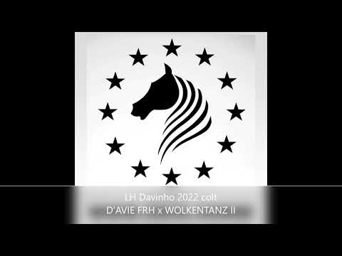Davinho:D'AVIE FRH x WOLKENTANZ II