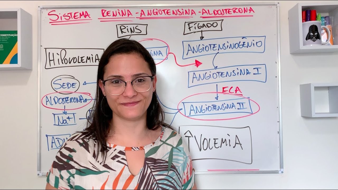 Fisiologia do Sistema Endócrino