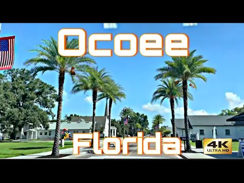 Ocoee Fl County