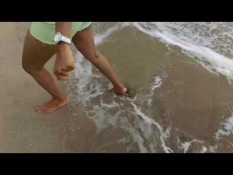 Shrivardhan Beach, Maharashtra, India  (throwback 2016)