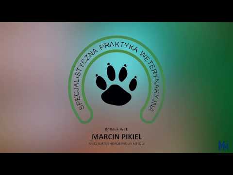  Pikiel weterynarz - zdjęcie