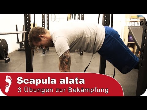 Scapula Alata (Angel Wings) | 3 top exercises to combat poor posture and pain!