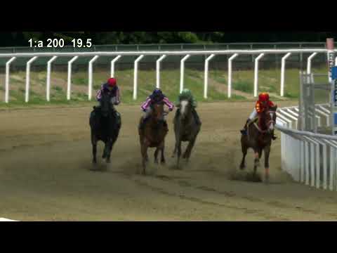 Kvallopp-2022-05-25 Jägersro