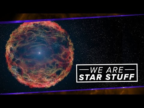 We Are Star Stuff