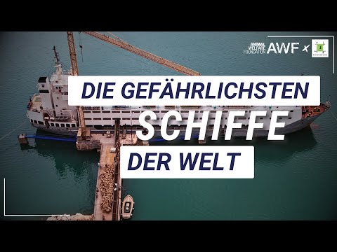 Die gefährlichsten Schiffe der Welt | AWF x Robin des Bois