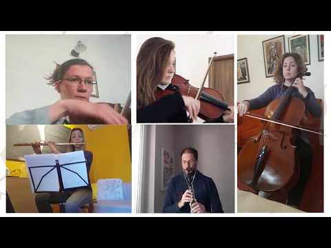 Dubrovački simfonijski orkestar: Pjesma Dubrovniku