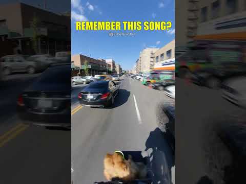 Neil LeVang - Ghost Riders In The Sky🎵🤔 SEE THE FULL VIDEO ON MY YOUTUBE CHANNEL🔥#song #music