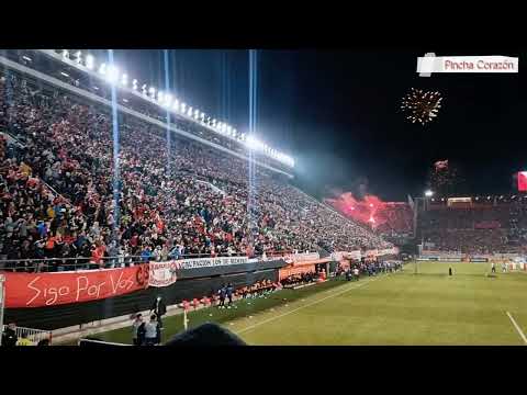 "" Barra: Los Leales • Club: Estudiantes de La Plata