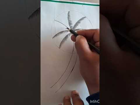 Date Palm Tree drawing#art