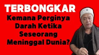 Download lagu 💥Abah Setu: Terbongkar Kemana Perginya Darah Ketika Seseorang Meninggal Dunia? mp3 Download lagu 💥Abah Setu: Terbongkar Kemana Perginya Darah Ketika Seseorang Meninggal Dunia? mp3