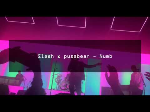 Sleah & pussbear - Numb