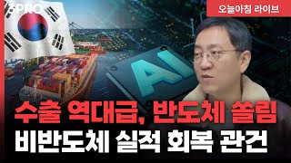 수출 역대급인데 반도체 쏠림 심화, 비반도체 실적 회복 관건 | 삼프로TV 권순우 취재팀장 [뉴스3]