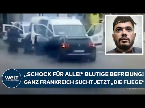 FRANKREICH: "Schock für alle!" Blutige Befreiung! Das ganze Land sucht jetzt Drogenboss "Die Fliege"