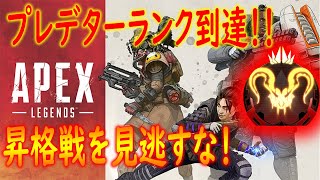 【ApexLegends】プレデターランク到達！！プレデター昇格戦を見逃すな！【かなじぃー】