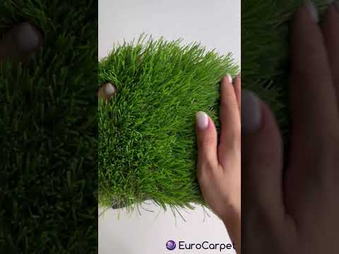 Декоративная трава LANDGRASS 40