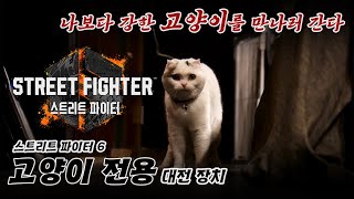 퀘이사존